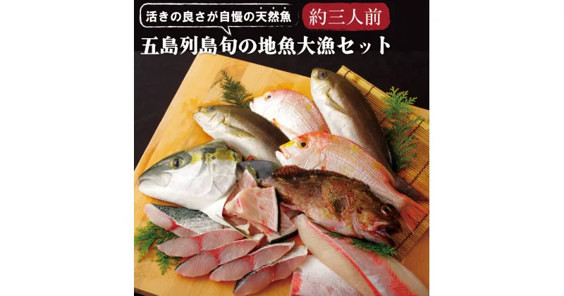 【ふるさと納税】五島列島 旬の 地魚 大漁 セット(約3人前) 刺身 焼魚 アラ ひらまさ れんこだい 宇久島