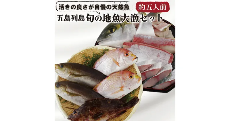 【ふるさと納税】五島列島 旬 の 地魚 大漁 セット ( 約5人前 ) 宇久島 鮮魚 ひらまさ れんこだい いさき かさご