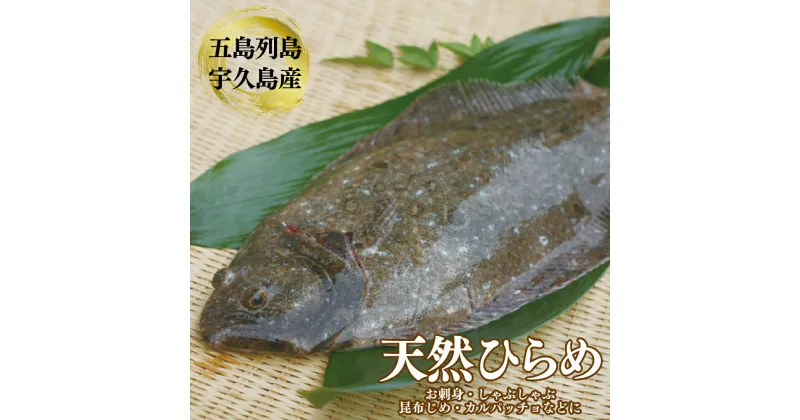 【ふるさと納税】五島 列島 天然 ひらめ 総計約2.5kg 刺身 しゃぶしゃぶ 刺し身 宇久島 鮮魚 海産 海鮮