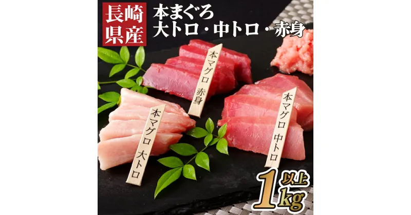 【ふるさと納税】長崎県産 本まぐろ 3種セット ( 大トロ 中トロ 赤身 ) 総計1,000g以上 特殊製法で臭みなし マグロ 中とろ 大とろ まぐろ 鮪 本マグロ 刺身 冷凍 ギフト 贈答 のし お中元 お歳暮 長崎 永松屋