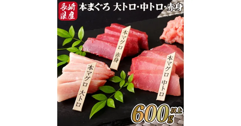 【ふるさと納税】長崎県産 本まぐろ 3種セット ( 大トロ 中トロ 赤身 ) 総計600g以上 特殊製法で臭みなし マグロ 中とろ 大とろ まぐろ 鮪 本マグロ 刺身 冷凍 ギフト 贈答 のし お中元 お歳暮 長崎 永松屋