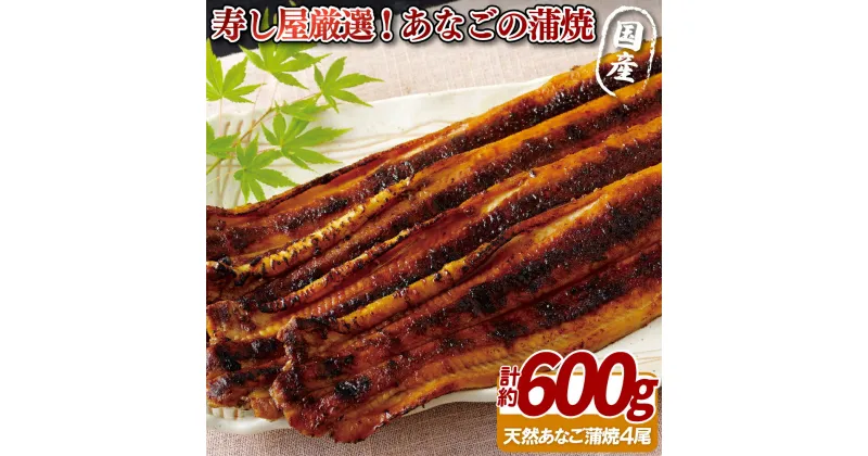 【ふるさと納税】寿し屋 厳選 ! あなご の 蒲焼 ( 国産 ) 約600g プレゼント ギフト 贈り物 贈答 贈答用 お中元 お歳暮 御中元 御歳暮