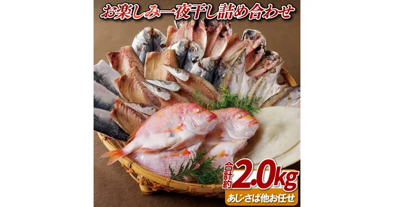 【ふるさと納税】おたのしみ (約2kg) 一夜干し 詰合わせ 総計約2.0kg 限定 たっぷり 干物 魚 ひもの セット イカ アジ 鯵 タイ 鯛 サバ 鯖 カマス 贈答 ギフト お中元 お歳暮 11000円