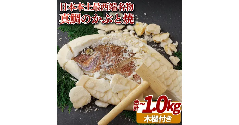 【ふるさと納税】日本 本土 最西端 名物 真鯛 の かぶと焼 約0.9~1kg 新鮮 鯛 プレゼント ギフト 贈答 贈答用 お中元 お歳暮 御中元 御歳暮