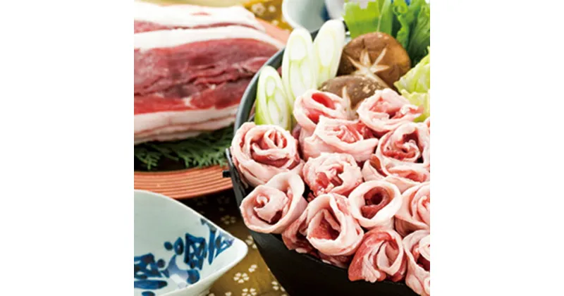 【ふるさと納税】「ヘルシー肉の王様」しし肉スライス