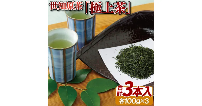 【ふるさと納税】世知原茶「極上茶」3本セット