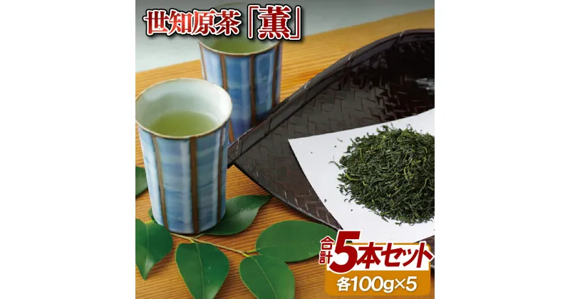 【ふるさと納税】世知原茶「薫」5本セット