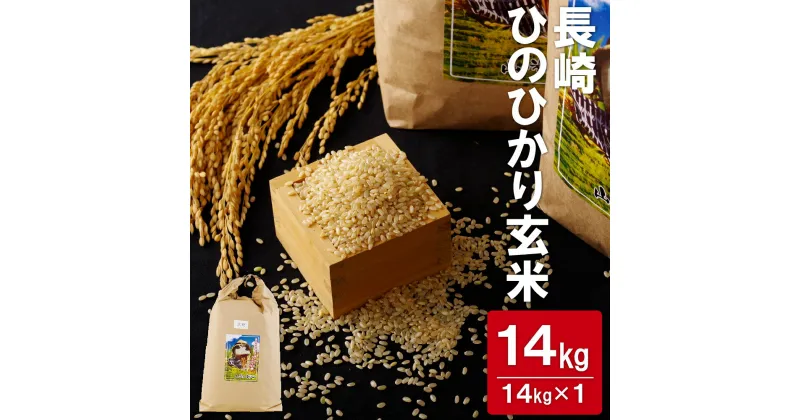 【ふるさと納税】長崎ひのひかり玄米(14kg) 常温