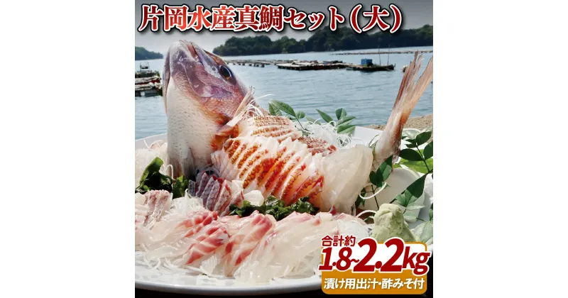 【ふるさと納税】片岡水産 真鯛 セット ( 大 ) 約5~6人前 養殖 鯛 九十九島 刺身 鍋 海鮮 プレゼント ギフト 贈り物 贈答 贈答用 お中元 お歳暮 御中元 御歳暮