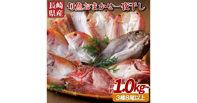 【ふるさと納税】【一夜干し 計1,000g以上！】長崎県産厳選！ 旬のお魚 おまかせ一夜干しセット 3種8尾以上 お届け 赤かます のどぐろ 連子鯛 くろむつ カサゴ いさき 鯛 甘鯛 さより 干物 ひもの 冷凍 長期保存可能 冷凍6ヶ月 ギフト 贈答 のし お中元 お歳暮