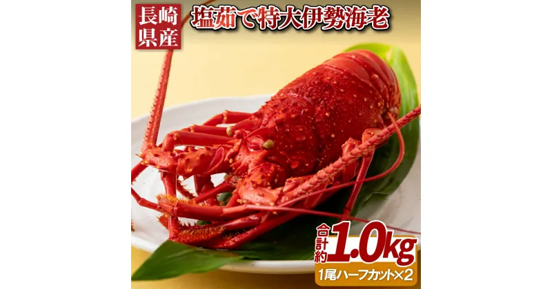 【ふるさと納税】長崎県産 塩茹で 特大 伊勢海老 1尾 ハーフカット 総計約1kg 海産 海鮮 プレゼント ギフト 贈り物 贈答 贈答用 お中元 お歳暮 御中元 御歳暮