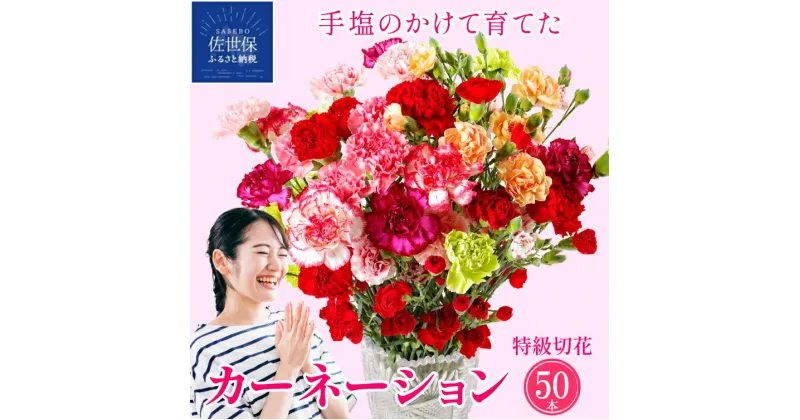 【ふるさと納税】カーネーション 鮮度が自慢 佐世保 産地直送 高級 茎丈 65cm 切り花 50本 箱詰め 花農家直送 花もち 誕生日 誕生日 記念日 出産祝い プレゼント ギフト