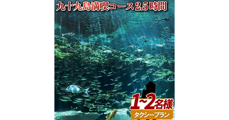 【ふるさと納税】九十九島満喫コース2.5時間1名～2名様