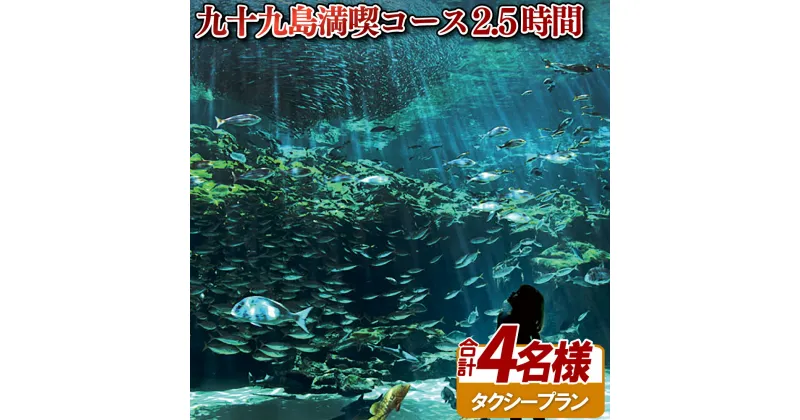 【ふるさと納税】九十九島満喫コース2.5時間4名様