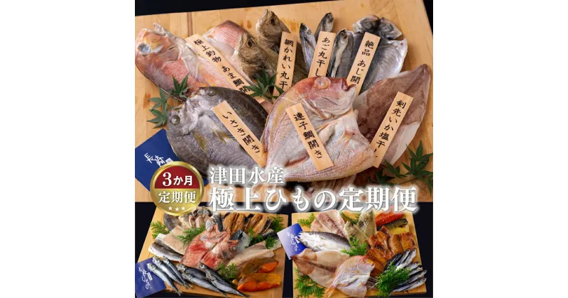 【ふるさと納税】【全3回定期便】極上ひもの定期便 津田水産 長崎県産 極上素材を漁獲方法・新鮮さ・脂のりなどを最重視して仕入れ 魚介類 干物 冷凍 ギフト 贈答 のし お中元 お歳暮 長崎