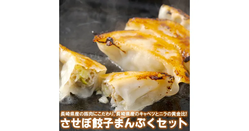 【ふるさと納税】《させぼ餃子研究所》させぼ餃子まんぷくセット