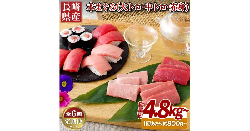 【ふるさと納税】【6回定期便 総計4,800g】長崎県産 本まぐろ 3種セット ( 大トロ 中トロ 赤身 ) 800g以上 特殊製法で臭みなし マグロ 中とろ 大とろ まぐろ 鮪 本マグロ 刺身 冷凍 ギフト 贈答 のし お中元 お歳暮 長崎 永松屋