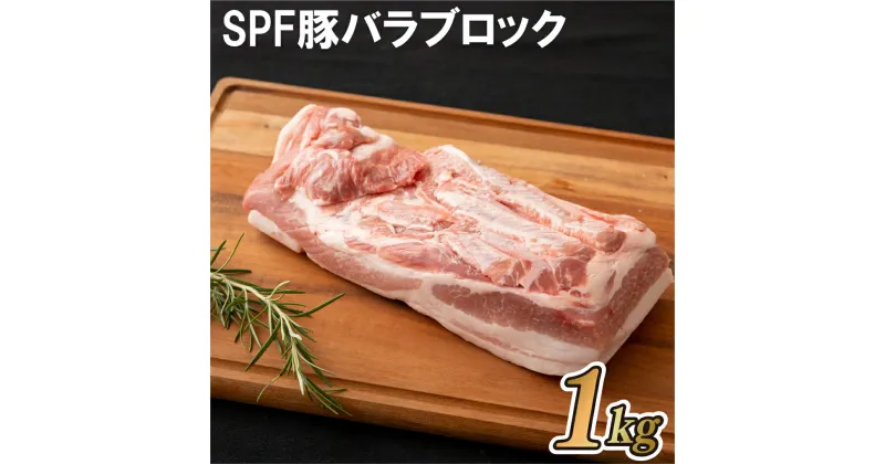 【ふるさと納税】【本格料理にぜひ】長崎県産 SPF豚 バラブロック 1kg (500g×2パック) 真空冷凍 角煮 チャーシュー 煮込み料理 パンチェッタ 旨みたっぷり 安心安全 冷凍 ギフト 贈答 お中元 御中元 お歳暮 御歳暮 豚肉 送料無料 梅月