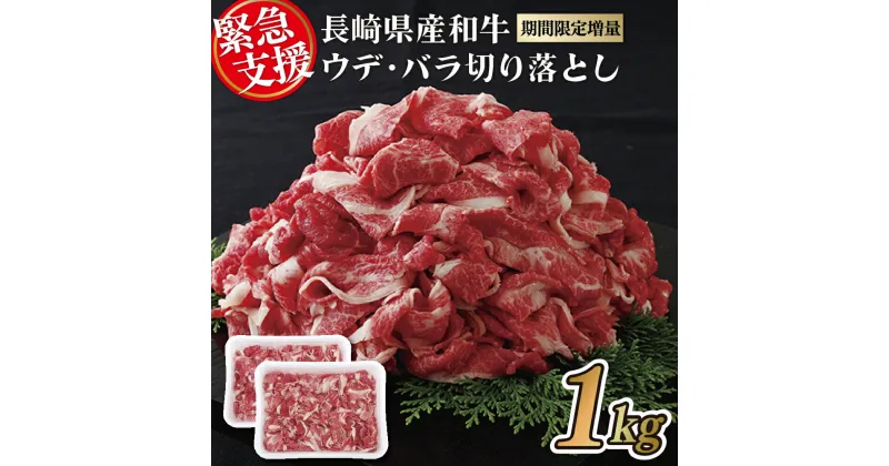 【ふるさと納税】 訳あり 数量限定 切り落とし 約1kg (500g×2パック) 牛肉 九州産 お取り寄せ お取り寄せグルメ すき焼き しゃぶしゃぶ 牛丼 霜降り フードロス 規格外 最高級 和牛 冷凍 送料無料