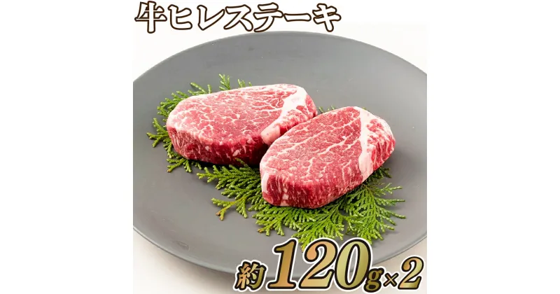 【ふるさと納税】【超希少部位】長崎県産 ヒレステーキ 240g (120g×2枚) 鮮度や熟成具合を徹底管理 冷凍 最高級 ギフト 送料無料 牛肉 ヒレ フィレ ヘレ 田中精肉店 18000円