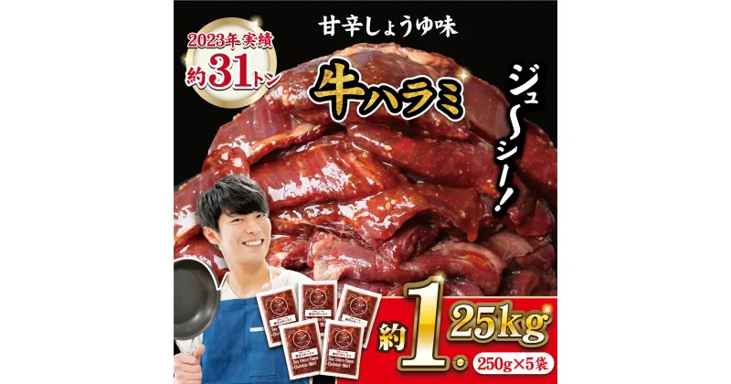 【ふるさと納税】【牛旨味の塊！焼くだけ簡単メイン】味付け 厚切り牛ハラミセット 計1.25kg (250g×5パック) 甘辛しょうゆ 厚切り牛ハラミ 焼くだけ 簡単 長期保存可能 12ヶ月 冷凍 常備 個包装 真空パック おつまみ お弁当 惣菜 牛肉 ギフト 贈答 お中元