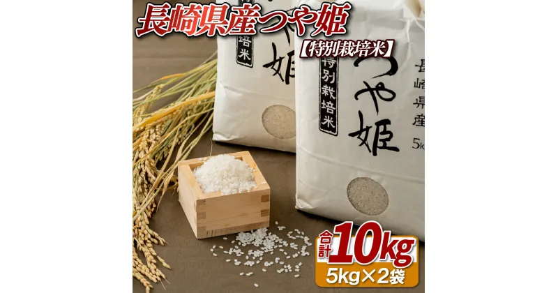 【ふるさと納税】【特別栽培米】長崎県産 つや姫 約10kg (5kg×2袋) こめ コメ 米