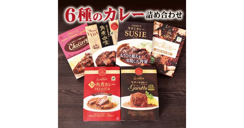 【ふるさと納税】【高級レトルトカレー】長崎豊味館 6種のカレー詰め合わせ ギフト 贈答 長期保存可能 常温 レトルト食品 レトルトカレー ビーフカレー 欧風カレー スパイス お中元 お歳暮 高級カレー Gorotto 豊味館