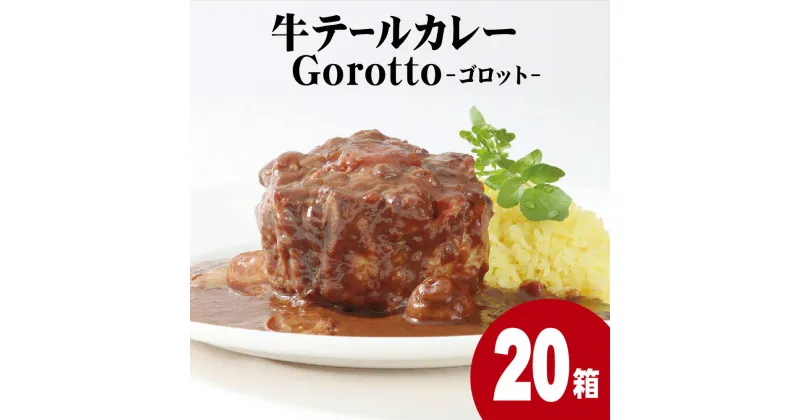 【ふるさと納税】牛テール カレー ゴロット (20袋) こぶし大のテール肉 牛一頭からわずか3袋のみ ギフト 贈答 長期保存可能 常温 レトルト食品 ビーフカレー 欧風カレー スパイス お中元 お歳暮 高級 進化する レトルトカレー Gorotto