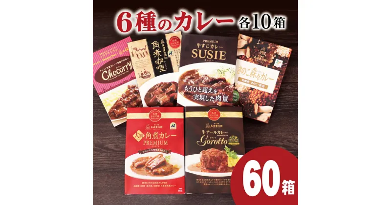 【ふるさと納税】【高級レトルトカレー 総計60箱】長崎豊味館 6種のカレー詰め合わせ (各10箱) ギフト 贈答 長期保存可能 常温 レトルト食品 レトルトカレー ビーフカレー 欧風カレー スパイス お中元 お歳暮 高級カレー Gorotto 豊味館