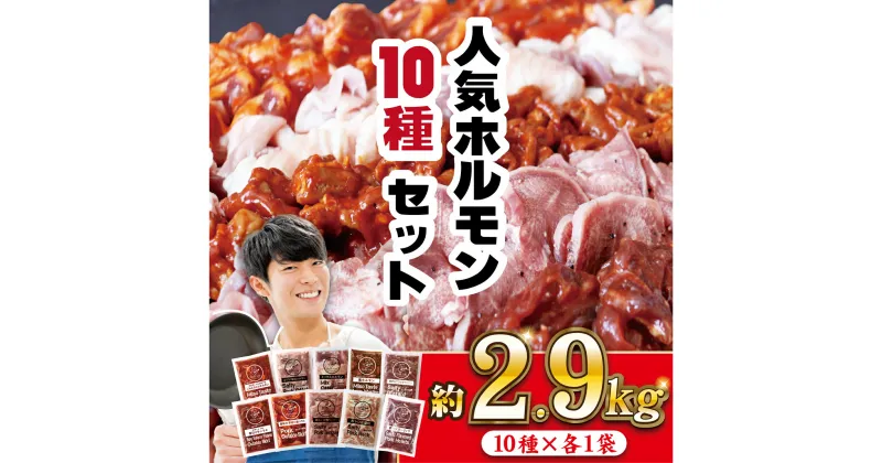 【ふるさと納税】工場直送！ 人気焼肉ホルモン 10種セット 総計2900g 小分け 真空パック 愛されて49年のホルモン専門ブランド 甘辛味付け こどもも大好き 焼くだけ 簡単 長期保存可能 12ヶ月 冷凍 常備 個包装 おつまみ お弁当 ギフト 贈答 お中元 お歳暮 豊味館