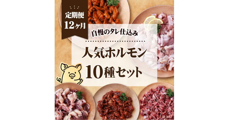 【ふるさと納税】【全12回定期便】工場直送！ 人気焼肉ホルモン 10種セット 総計34.8kg (各回2900g) 小分け 真空パック 愛されて49年のホルモン専門ブランド 甘辛味付け 焼くだけ 簡単 長期保存可能 12ヶ月 冷凍 常備 個包装 おつまみ ギフト 贈答 お中元 お歳暮 豊味館