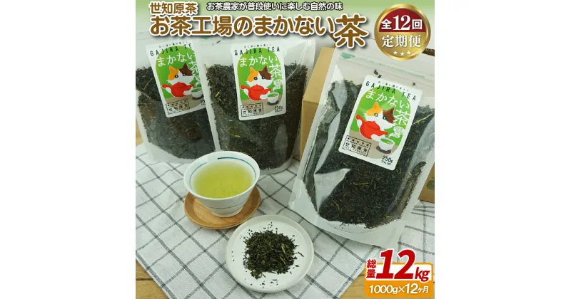 【ふるさと納税】世知原茶お茶工場のまかない茶【12回定期便】 141000円