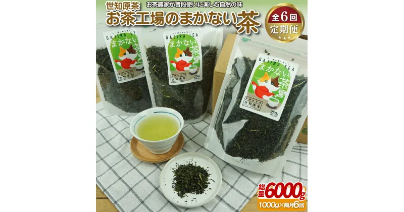 【ふるさと納税】世知原茶お茶工場のまかない茶【6回定期便】 70500円