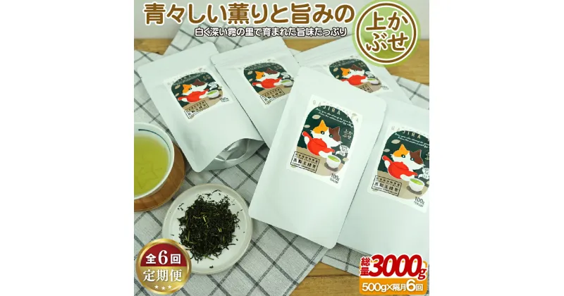 【ふるさと納税】世知原茶 青々しい薫りと旨みの上かぶせ 【6回定期便】 88000円