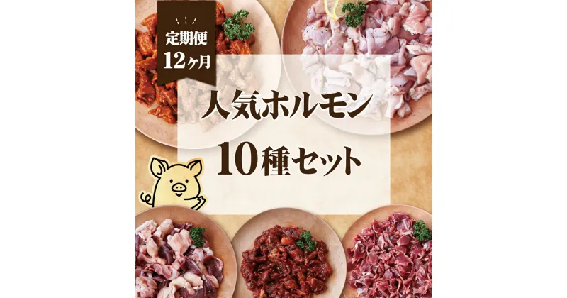 【ふるさと納税】《定期便》工場直送　人気焼肉ホルモン10種【12回お届け】 263000円