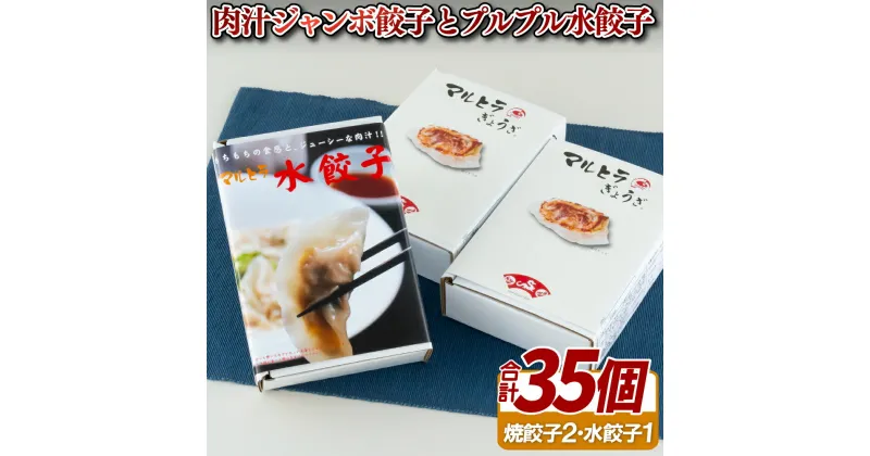 【ふるさと納税】肉汁ジャンボ餃子とプルプル水餃子のセット 10000円