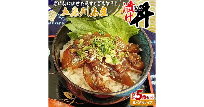 【ふるさと納税】五島列島漬け丼食べきりセット 10000円