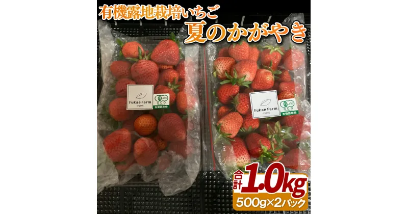 【ふるさと納税】有機露地栽培いちご「夏のかがやき」1kg