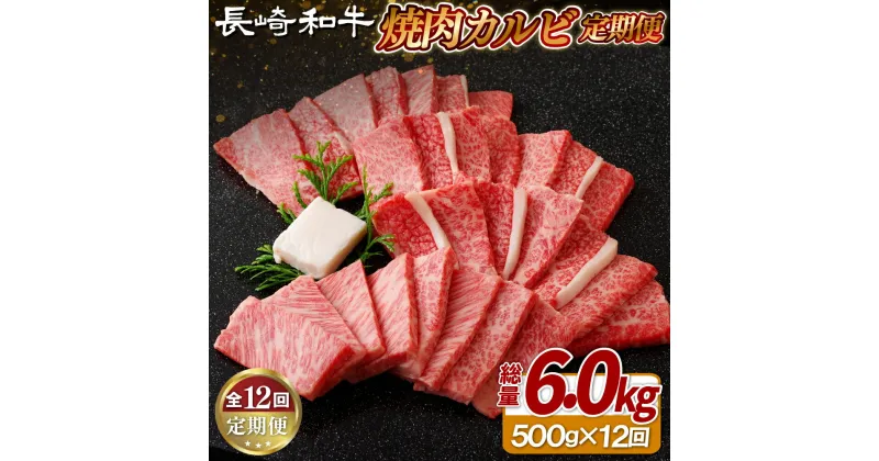 【ふるさと納税】《定期便》長崎和牛焼肉カルビ(500g)【12回お届け】