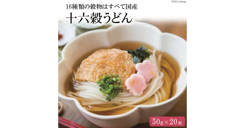 【ふるさと納税】島原手延べ 十六穀うどん 1kg 〜厳選した16種類の国産雑穀とうどんの出逢い〜