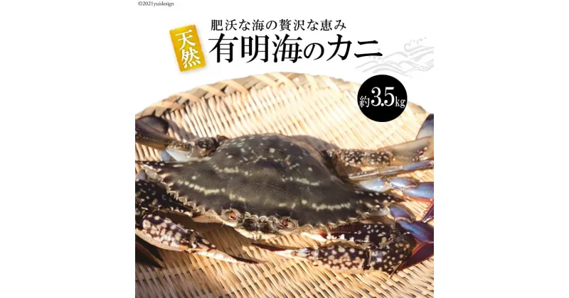 【ふるさと納税】天然の好漁場・肥沃な海の贅沢な恵み 有明海のワタリガニ（ガネ）約3.5kg 【カニ かに わたりがに 蟹足 蟹肉 魚介 ガネ 長崎県 島原市 送料無料】