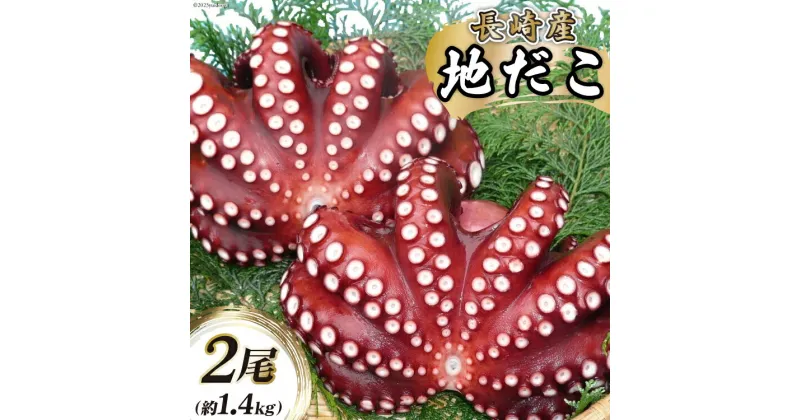 【ふるさと納税】BB044 長崎産 地だこ 2尾（約1.4kg）