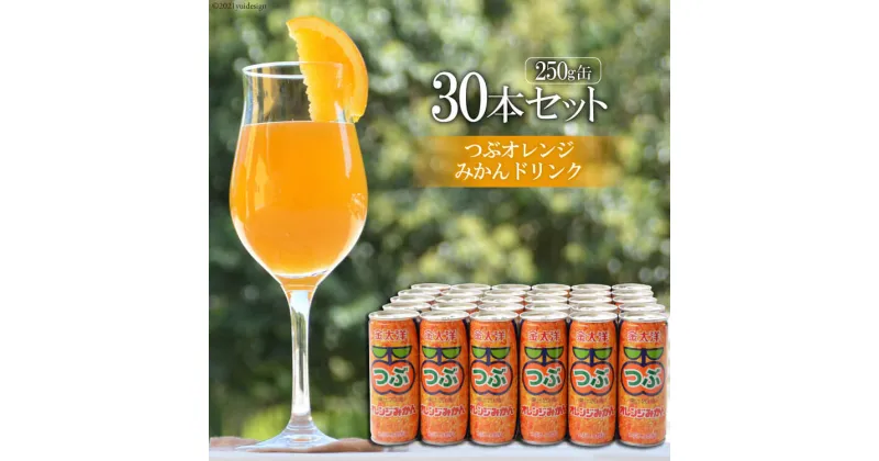 【ふるさと納税】つぶオレンジみかんドリンクセット（250ml×30本）