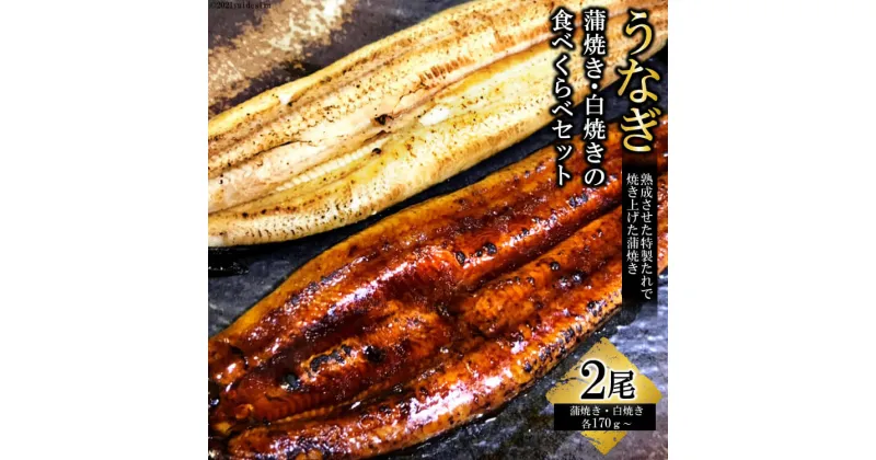 【ふるさと納税】うなぎ蒲焼き・白焼きの食べくらべセット（170g×計2尾）