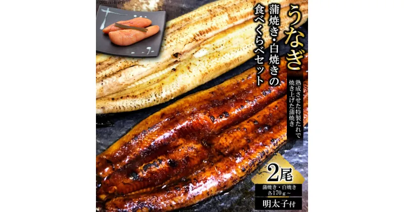 【ふるさと納税】うなぎ蒲焼き・白焼きの食べくらべセット（170g×計2尾）、自家製明太子セット（80g×2）