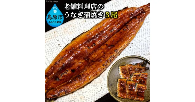 【ふるさと納税】老舗料理店のうなぎ蒲焼き（170g×3尾）