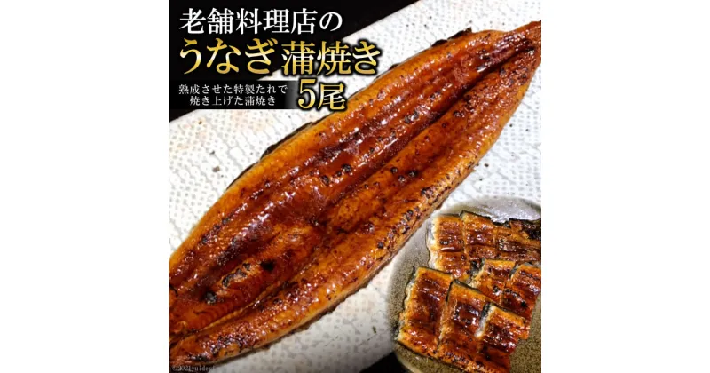 【ふるさと納税】老舗料理店のうなぎ蒲焼き（170g×5尾）