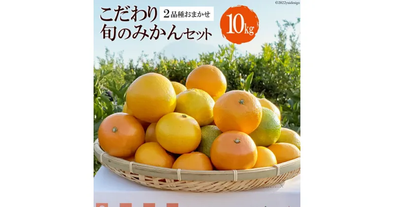 【ふるさと納税】BC003 森崎果樹園のこだわり旬のみかんセット 10kg [みかん ミカン 旬 10キロ 森崎果樹園 長崎県 島原市]