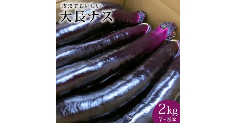 【ふるさと納税】【令和7年度出荷分】皮までおいしい！島原 大長ナス 2kg（7～8本） 【 産地直送 なす 茄子 ナス 長崎県 島原市】