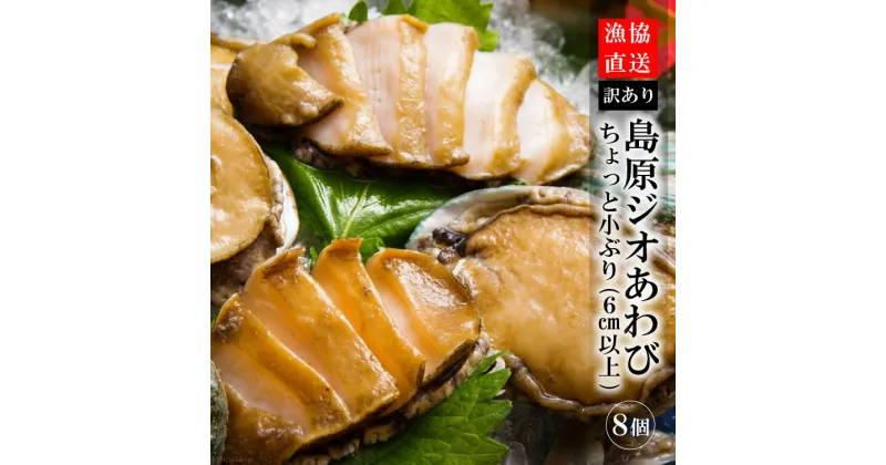 【ふるさと納税】【訳あり】漁協直送！島原ジオあわび 8個（ちょっと小ぶり：6cm以上） 【漁協直送 あわび アワビ 訳あり 冷蔵 有明海 長崎県 島原市】